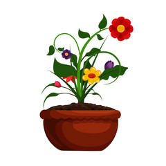 Colorful Flowers in a Pot - Vector Image