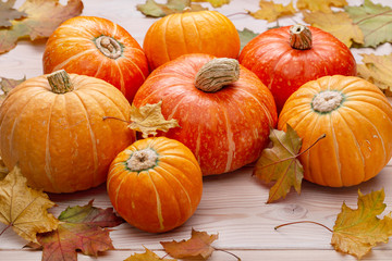 Autumn background with dry maple leaves and ripe orange pumpkins. Layout for seasonal offers and holiday cards.