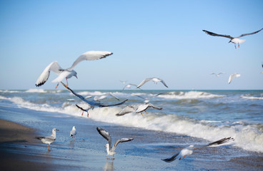 beach