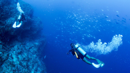 パラオ_ペリリュー_スキューバダイビング