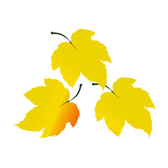 Yellow Leaves - Cartoon Vector Image