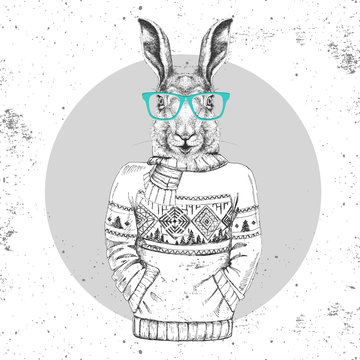 Retro Hipster Fashion Animal Rabbit Dressed Up In Pullover.