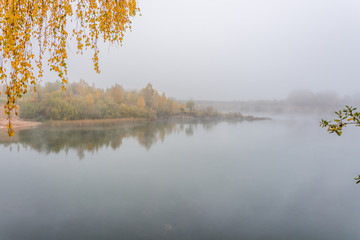 Tree with Fall Foliage at a Lake in Northern Europe