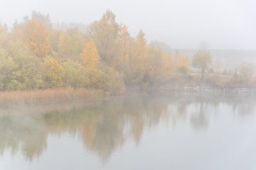 Tree with Fall Foliage at a Lake in Northern Europe