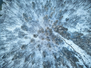 Schnee im Wald, Drohnenaufnahme