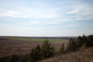 road in the field