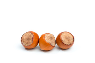Hazelnuts isolated on white background - Image