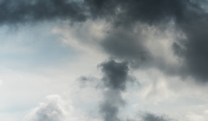Beautiful puffy clouds isolated against blue skies