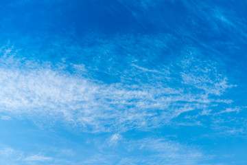 Beautiful puffy clouds isolated against blue skies