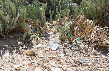 Polluted land on Madagascar, Africa
