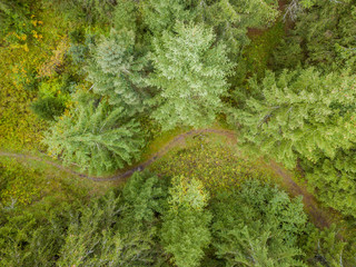 Aerial view of small winding path through forest in mountain area. Trekking and hiking route in Swiss alps.