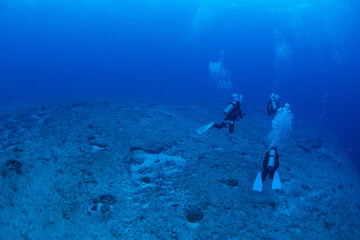 Fototapeta premium パラオ_ペリリュー_スキューバダイビング