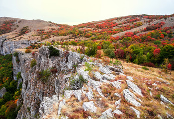 Bright nature in the autumn in the mountains. Crimea