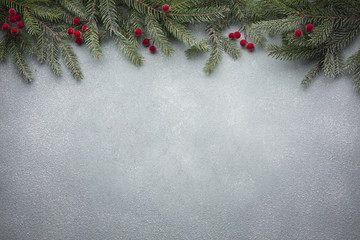 Obraz na płótnie Canvas Christmas tree branch with copy space