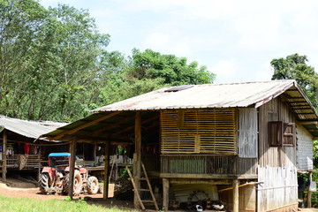 The home of the villagers in the community of a minority group known as the Karen in Thailand.