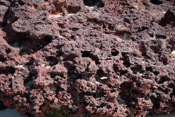 Red rocks  formation detail 2 at Long Reef Beach Sydney