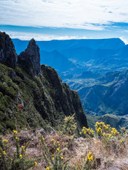 le ma&iuml;do de la R&eacute;union