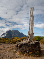 Le Ma&iuml;do Ile de la R&eacute;union