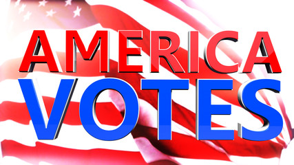 America Votes USA 3D Illustration