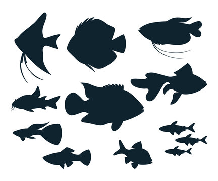 aquarium fish silhouettes