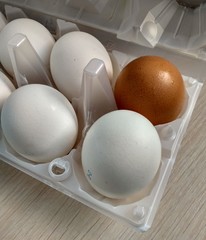 Eggs with white and brown shells close up