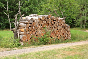 Stack of Wood wood stacked for drying in the woodpile on the green meadow
