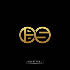 BS initial letter linked circle capital monogram logo modern template silver color version