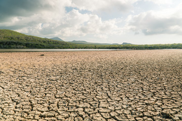 Brown Dried cracked desert flats with green mountain background. Barren terrain, with rough, scarcity concepts. Sand pattern texture. Abstract brown background. Dry soil geology. Brown.