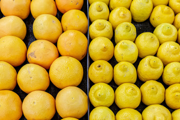 Looking down at a display of lemons and grapefruit for sale on a market stall