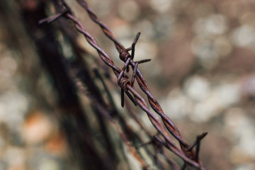 Barbed rusty wire on a metal fencecloseup, blurry background