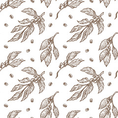 Coffee branch and beans seamless hand drawn sketch pattern