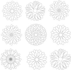 Набор изолированных цветов