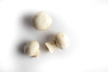 fresh champignon mushrooms on a white background