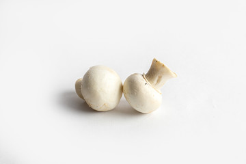 fresh champignon mushrooms on a white background