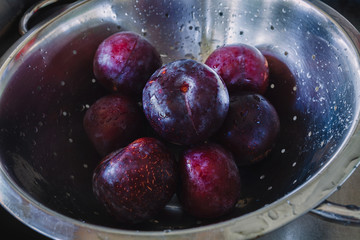 Fresh ripe plums being washed in metal colander, wet, with drops of water on them