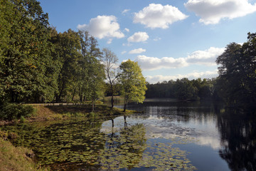 jungfernheidesee