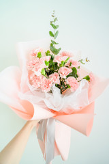 Woman hand hold pink carnation on white background.