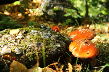 Senda de la Cueva del Cobre, Nacimiento del Rio Pisuerga. Montaña Palentina, Castilla y Leon. España