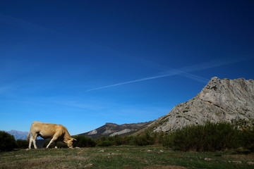 Senda de la Cueva del Cobre, Nacimiento del Rio Pisuerga. Montaña Palentina, Castilla y Leon....