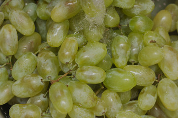 large and sweet green grapes. Close-up.