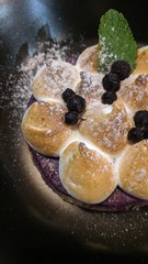 closeup of tarts