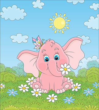 Little pink elephant playing with a funny butterfly among white flowers on green grass on a sunny summer day, vector illustration in a cartoon style