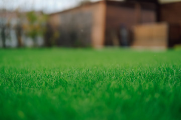 A grass lawn with small focused area in the moddle