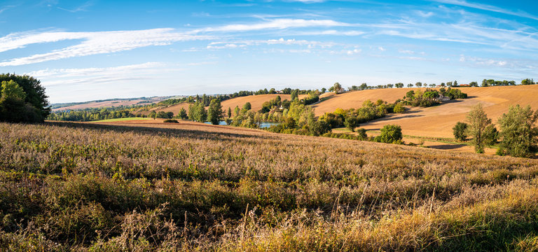 campagne agricole