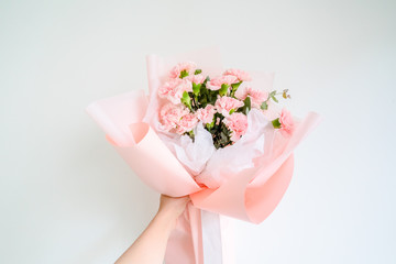 Woman hand hold pink carnation on white background.