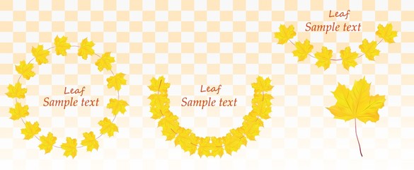 3D realistic maple leaf. Composition yellow maple leaf. Collection leaf. Autumn leafs with copy space for your text. Banner. Maple leaf close up. Vector illustration