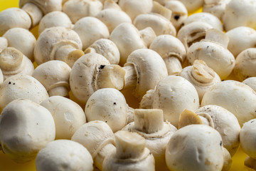 Tasty mushrooms on a wooden table. Mushrooms in the kitchen on a chopping board. Light background.