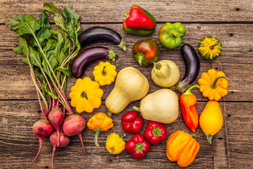 Autumn harvest vegetables. Set of beetroot, eggplant, pumpkin, pepper, zucchini, squash