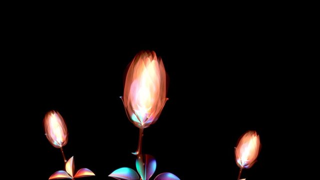 Flower powers animated with particles flying around
