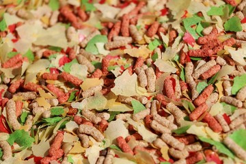 extreme close up of colorful fish feed